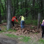 rakingdriveway