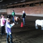 horsejudging2012_07