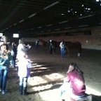 horsejudging2012_09